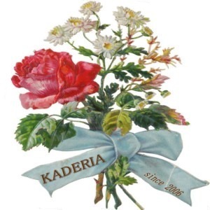セレクトショップ　KADERIA